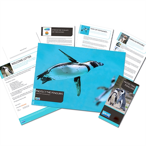 Adopting a Penguin - Penguin Pack Adopting a Penguin - Penguin Pack